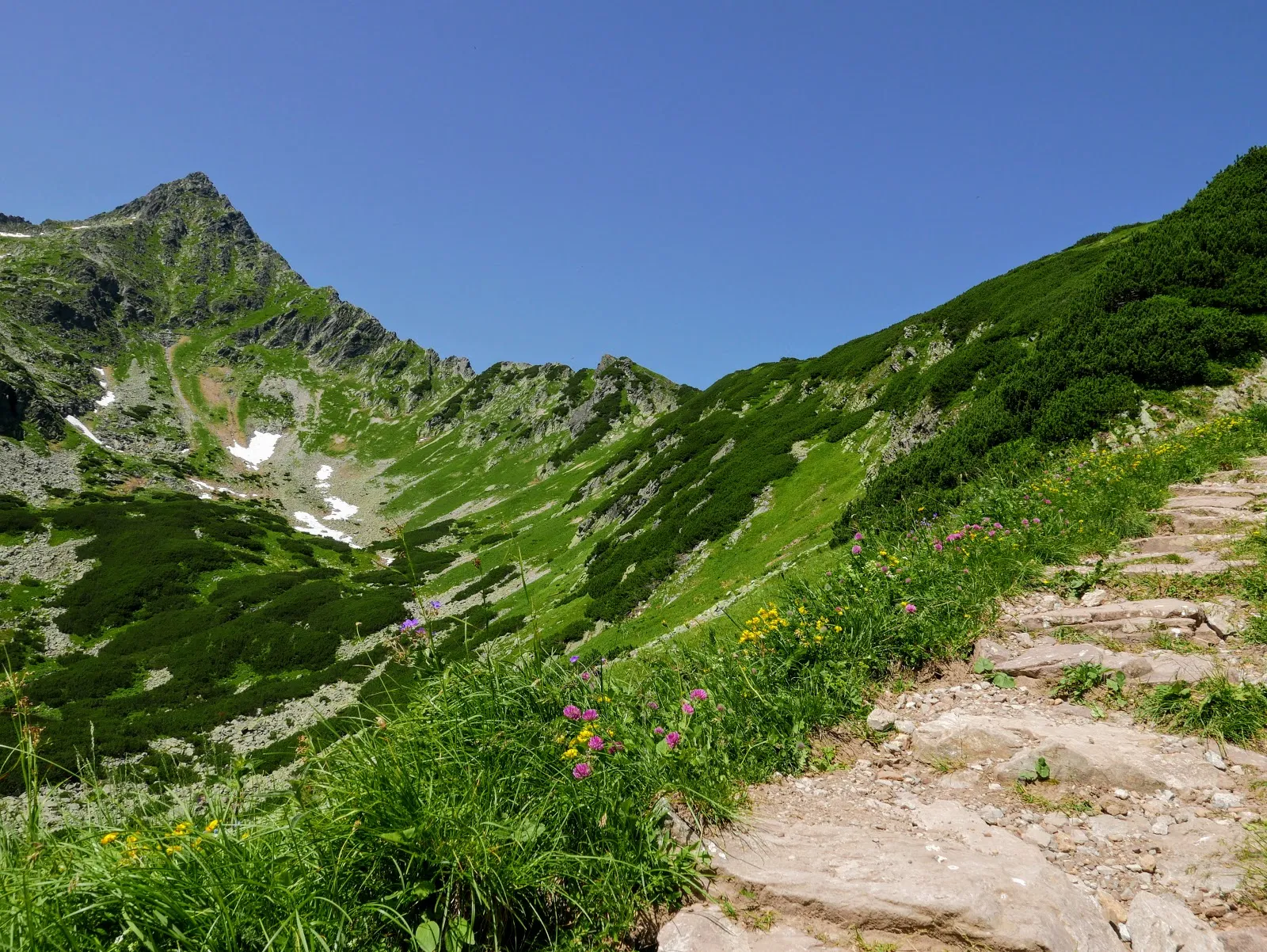 Wędrówka przez Tatry Bielskie i Wysokie. Przełęcz pod Kopą-Jagnięcy Szczyt-Świstówka. Lato w Tatrach. Tatry dla początkujących. Tatry dla średniozaawansowanych. Łatwe szlaki w Tatrach. Szlaki widokowe w Tatrach. Tatry Bielskie zdjęcia. Tatry Wysokie zdjęcia. Opis szlaków w tatrach. Tatry blog. Jagnięcy szczyt blog. Tatry bielskie blog. Przełęcz pod kopą. Szeroka przełęcz tatry bielskie.