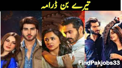 Pakistani Drama | Tere bin Pakistani drama
