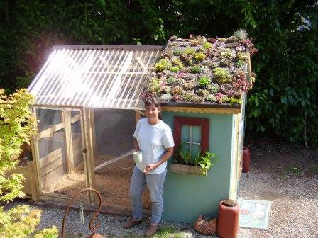 The Blue Between: Dreamin' of Chicken Coops