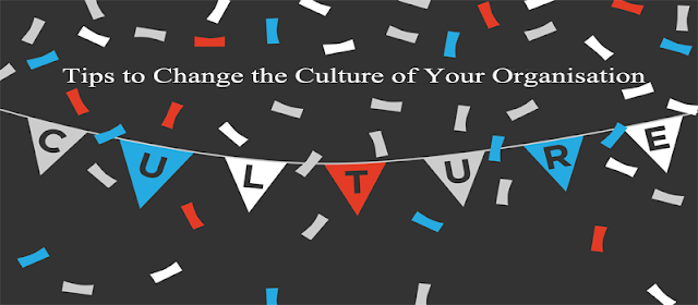 Culture of Organization