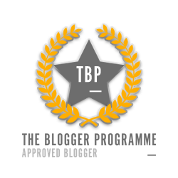  the blogger programme