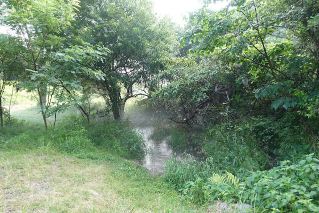 鳥取県西伯郡伯耆町丸山の地蔵滝の泉