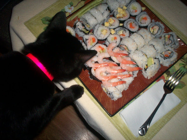 Sushi the cat joins us for dinner 3 by Torley from flickr (CC-SA)