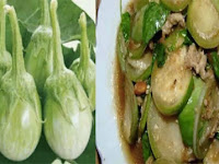 พลาดไปได้ไงเนี่ย! กินมะเขือเปราะทุกวัน จะทำให้ร่างกายดี ได้ขนาดนี้เชียว 