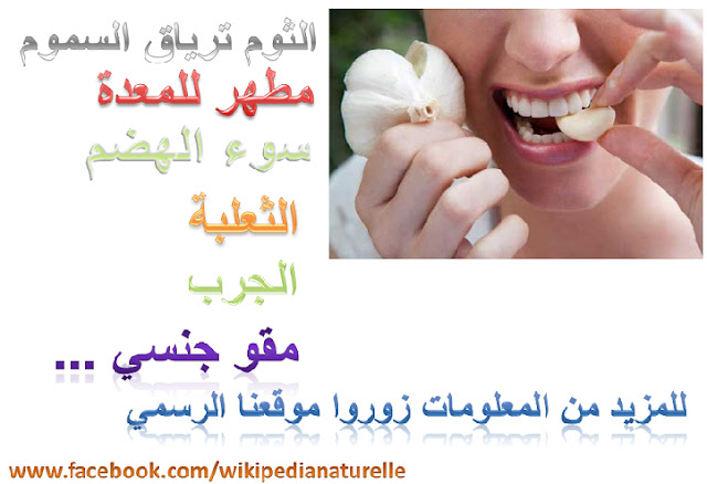 فوائد التوم 