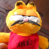 Mexican Garfield