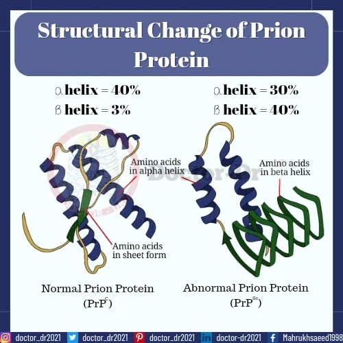 Prion Structure: