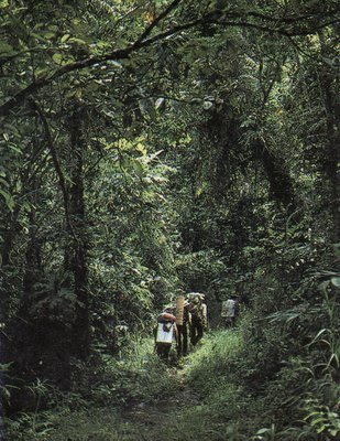 Galunggung Volcano