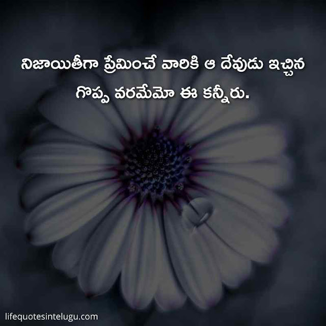 Love Failure Quotes In Telugu