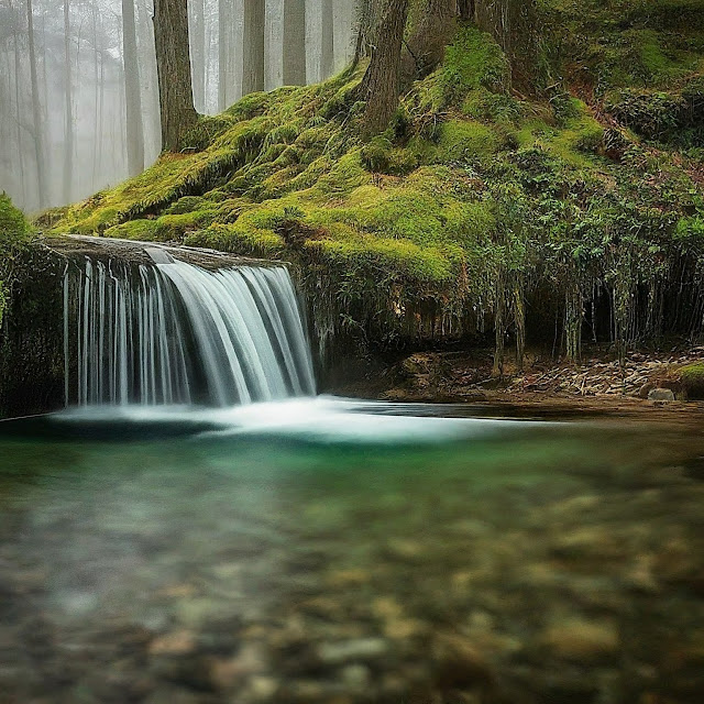 Where does Canadian Spring Water Come from