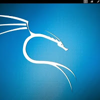 القرصنة الأخلاقية باستخدام Kali Linux