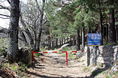 Hoya de San Blas - Sierra de Guadarrama (Madrid)