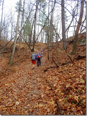 Leatherwood Trail Dec 2012 6
