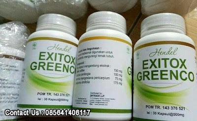 distributor green coffee, distributor exitox green coffee, distributor jual green coffee, distributor exitox greenco, distributor jual exitox greenco