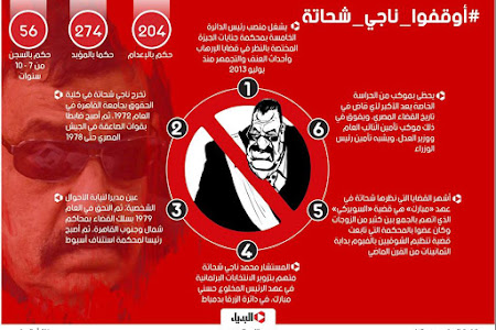 قاضي الإعدامات ناجي شحاتة: أصدر 204 أحكام بالإعدام وبالسجن 7395 سنة في 5 قضايا