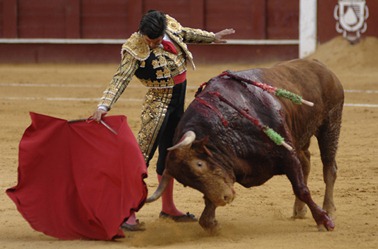 Imagen-1099-133-1