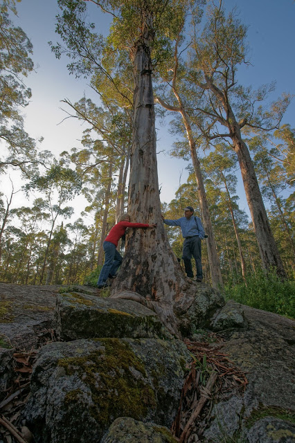 Porongurup National Park Great South West Edge Western Australia Perth Curitan Aqalili