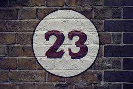 23