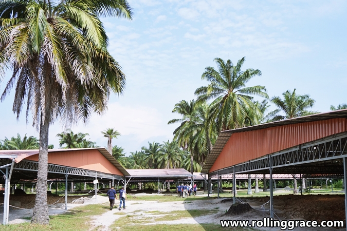 tapak Arkeologi Sungai Batu di Lembah Bujang