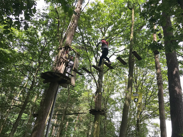 daughter on a wooden bridge between two trees up high at Go Ape