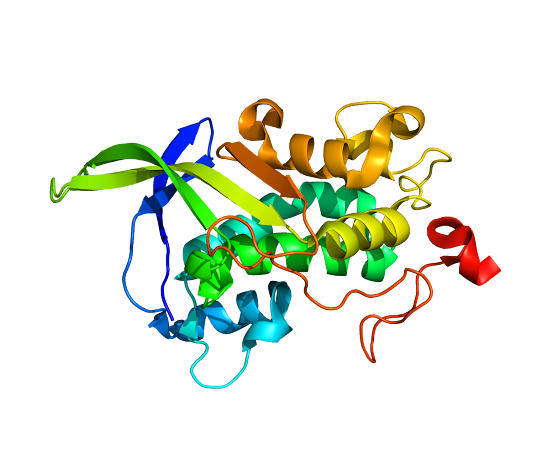 Niemann Pick Disease Type C