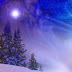 Winter Night Latest Wallpaper