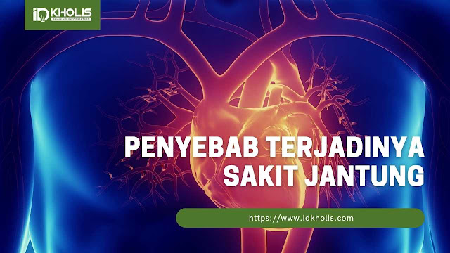 penyebab terjadinya sakit jantung