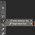 Magic Wand Tool