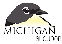 http://www.michiganaudubon.org