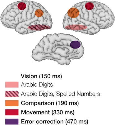 How To Improve Your Memory By Up To 10 Times With Memory Techniques