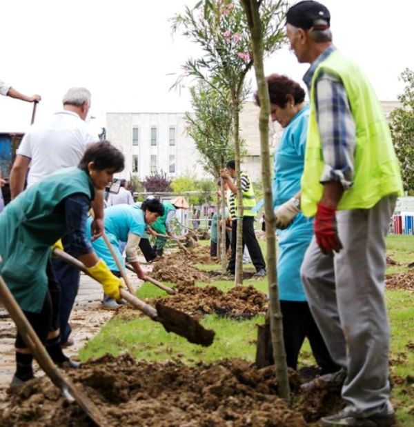 Today, Tirana Municipality Initiative: "Sow a Tree"