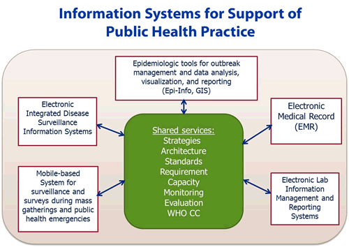 PUBLIC HEALTH INFORMATION SYSTEM [INFORMATICS] IN THE UNITED STATES