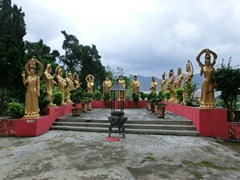 CIMG0976