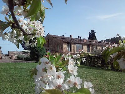 Countryside Villa with private panoramic garden and pool, Casa di campagna con giardino privato e piscina