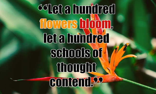 Quotes about flowers blooming