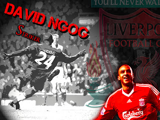 David Ngog Wallpaper 2011