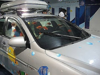 aquarium car 