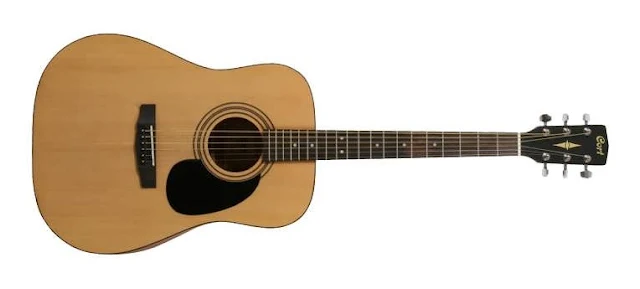 Gitar Cort AD810NS