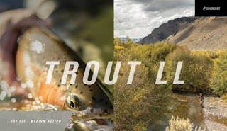  Sage Trout LL