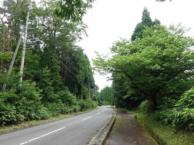 鳥取県道52号岸本江府線　鳥取県西伯郡伯耆町