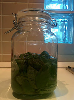 Jar of basil with alcohol