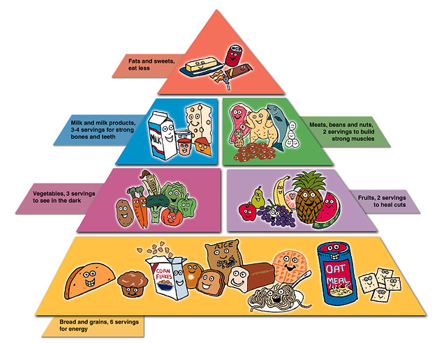 food web worksheet. girlfriend lank food pyramid