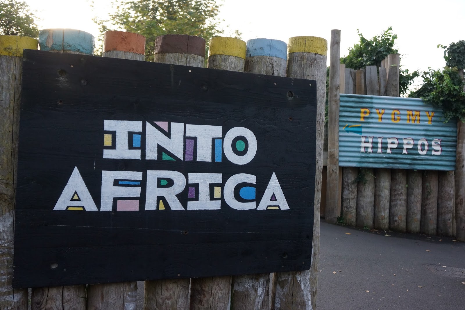 szl london zoo with toddlers into africa signs
