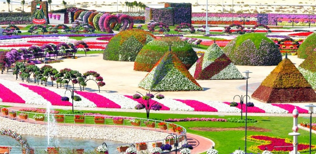 AMAZING PIKCHAZ: ATTRACTIONS: DUBAI'S MIRACLE GARDEN - WORLD'S ...