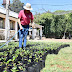  ENTREGARÁ AYUNTAMIENTO DE HUAMANTLA PLANTAS DE DALIA EN EL MARCO DE LA FERIA 2023