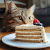 GuestPost: A referral broadened? To have one’s cake, to eat it...or not yet to get it (G 1/24)