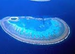 Great barrier reef.