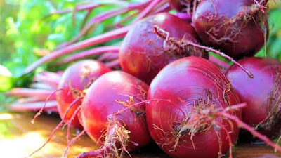 6 Amazing Benefits Of Beets For Health and Fitness