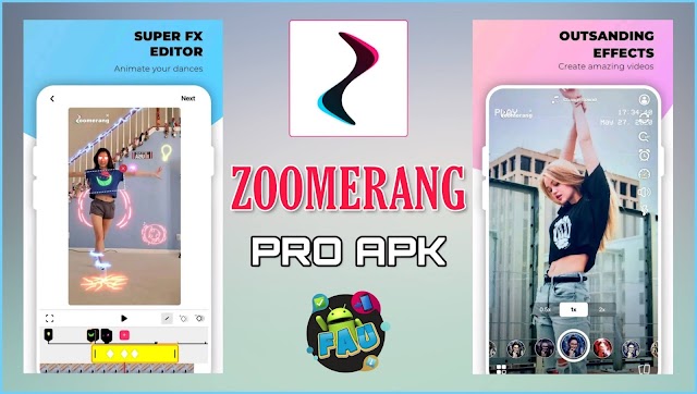 Zoomerang Pro