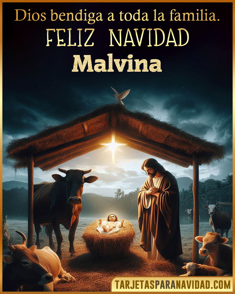 Feliz Navidad Malvina